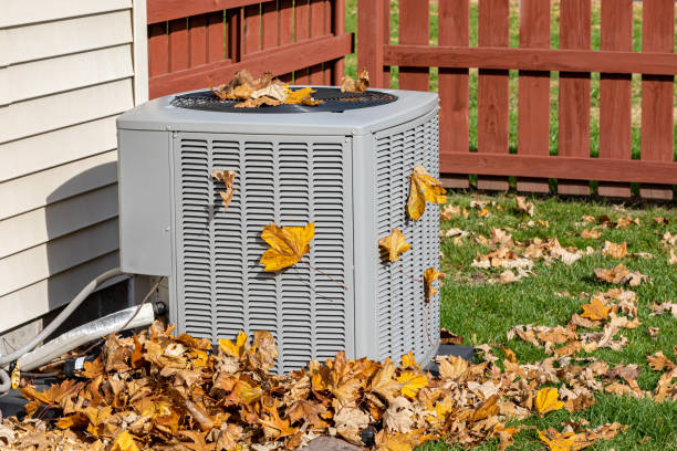 Best Air Filters and Purifiers in Springfield, MI